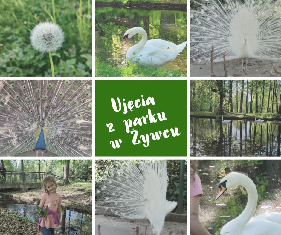 Apartamenty Pilsko Korbielów Esterno foto